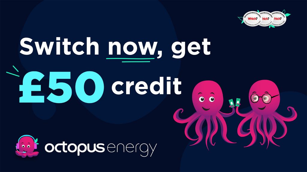 octopus energy